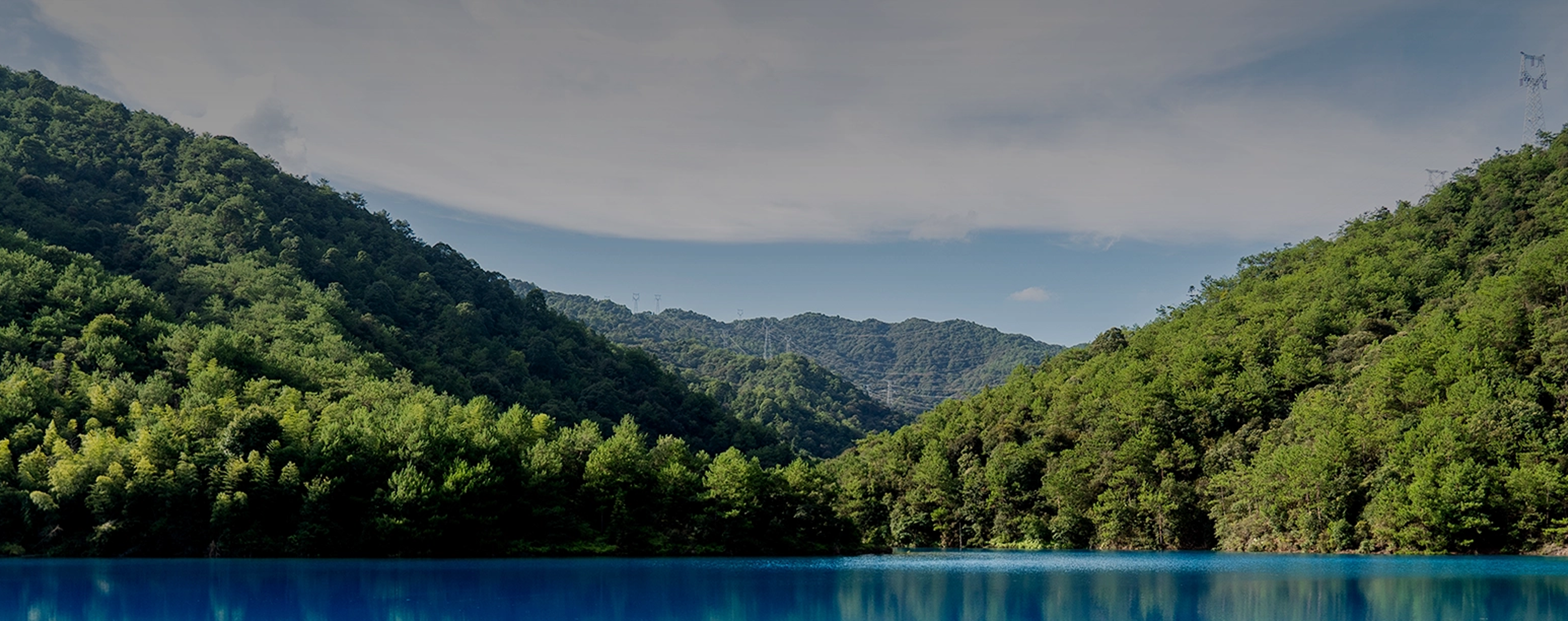 Sojitz sustainability background